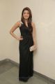 Pranitha Latest Hot Photos in Dark Brown Gown