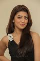 Pranitha Subhash Latest Hot Photos in Dark Brown Dress