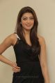 Tamil Actress Pranitha Hot Photos in Dark Brown Dress