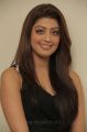 Pranitha Latest Hot Photos in Dark Brown Dress