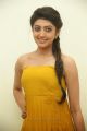 Actress Pranitha in Yellow Dress Stills