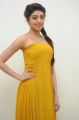 Actress Pranitha Subhash in Yellow Long Dress