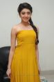 Telugu Heroine Pranitha in Yellow Color Long Dress