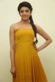 Telugu Actress Pranitha in Yellow Color Long Dress