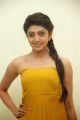 Actress Praneetha New Stills in Yellow Long Dress