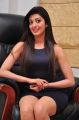 Actress Pranitha Interview about Dynamite Movie Photos