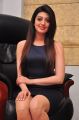 Dynamite Movie  Actress Pranitha Interview Photos