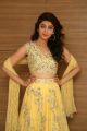 Hello Guru Prema Kosame Actress Pranitha New Photos