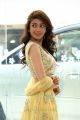 Actress Pranitha New Photos @ Hello Guru Prema Kosame Success Meet