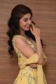 Actress Pranitha New Photos @ Hello Guru Prema Kosame Success Meet