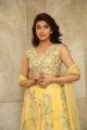 Hello Guru Prema Kosame Actress Pranitha New Photos