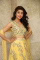 Actress Pranitha New Photos @ Hello Guru Prema Kosame Success Meet