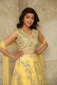 Actress Pranitha New Photos @ Hello Guru Prema Kosame Success Meet