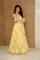 Actress Pranitha Subhash Photos @ Hello Guru Prema Kosame Success Meet