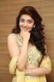 Actress Pranitha New Photos @ Hello Guru Prema Kosame Success Meet