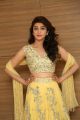 Hello Guru Prema Kosame Actress Pranitha New Photos