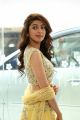 Actress Pranitha Subhash New Photos @ Hello Guru Prema Kosame Success Meet