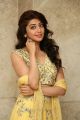 Hello Guru Prema Kosame Actress Pranitha New Photos