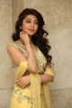 Actress Pranitha Subhash New Photos @ Hello Guru Prema Kosame Success Meet