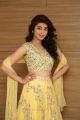 Actress Pranitha Subhash Photos @ Hello Guru Prema Kosame Success Meet