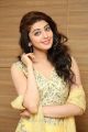 Actress Pranitha Subhash New Photos @ Hello Guru Prema Kosame Success Meet