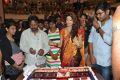 Actress Pranitha @ RS Brothers 10th Anniversary Celebrations Photos