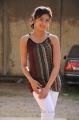 Actress Pranitha Hot in Saguni Movie Photos