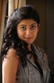Saguni Movie Heroine Pranitha Latest Stills