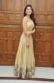 Actress Pranitha Subhash Stills in Long Golden Dress