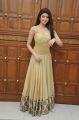 Gorgeous Pranitha Subhash posing in long golden dress