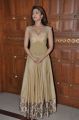 Gorgeous Pranitha Subhash posing in long golden dress