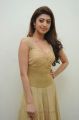 Actress Pranitha Subhash Stills in Long Golden Dress
