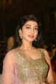 Actress Pranitha Subhash Photos @ NTR Kathanayakudu Audio Launch