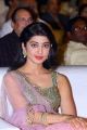 Actress Pranitha Subhash Hot Photos @ NTR Biopic Audio Launch