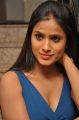 Actress Prashanthi Hot Photos @ Lion Success Meet