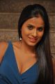 Anchor Prasanthi Hot Photos @ Lion Success Meet