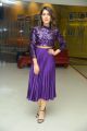 Raashi Khanna @ Prathi Roju Pandage Trailer Launch Stills