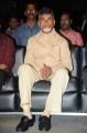 N.Chandrababu Naidu @ Prathinidhi Audio Release Function Photos