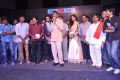 Prathinidhi Audio Release Function Stills