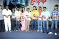 Prathinidhi Movie Platinum Disc Function Stills