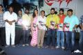 Prathinidhi Movie Platinum Disc Function Stills