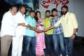 Prathinidhi Movie Platinum Disc Function Stills