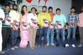 Prathinidhi Movie Platinum Disc Function Stills