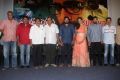 Prathinidhi Movie Success Meet Stills