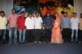 Prathinidhi Movie Success Meet Stills