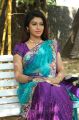Tamil Actress Prathista Hot Saree Photos