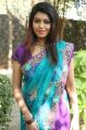 Tamil Actress Prathista Hot Saree Photos