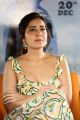 Pratiroju Pandaga Movie Actress Raashi Khanna Interview Pics