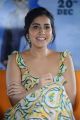 Prathi Roju Pandaage Movie Actress Raashi Khanna Interview Pics