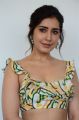 Prati Roju Pandage Movie Actress Raashi Khanna Interview Pics